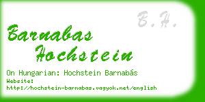 barnabas hochstein business card